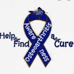 Meet your Posher, Shandra